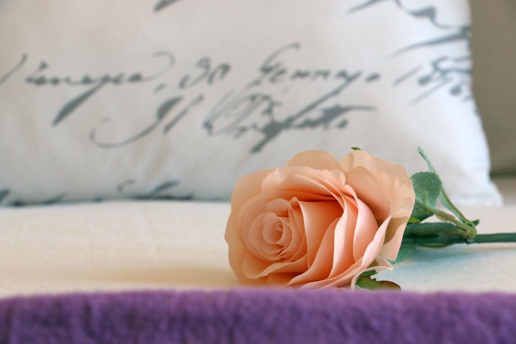 Blue Rose Trogir Exterior foto